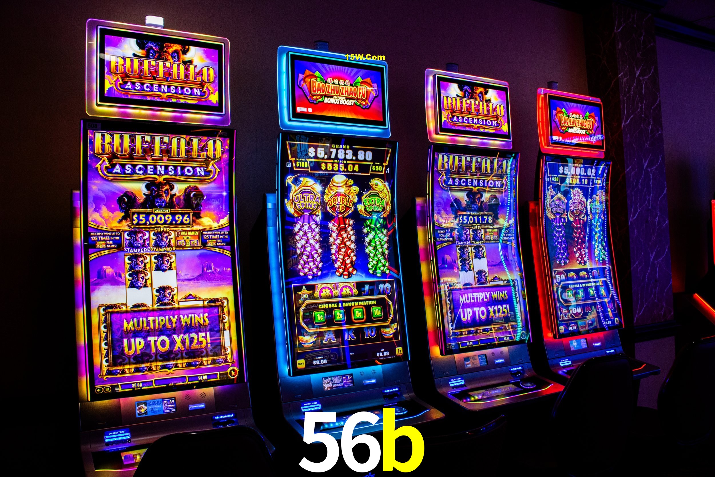 Experiência VIP 56b